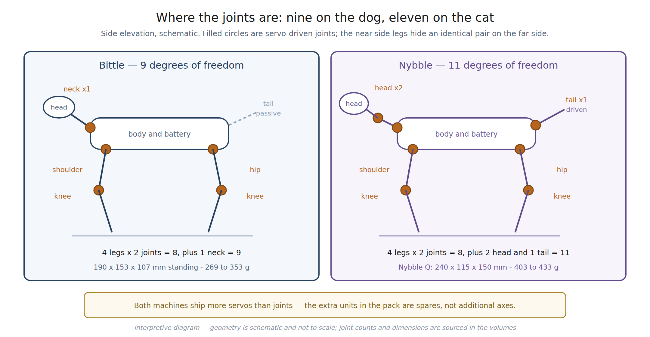 Figure 1 — Joint layout for both animals in side elevation. The dog carries one neck joint; the cat carries two head joints and a driven tail. Interpretive diagram drawn from the sources cited in t…