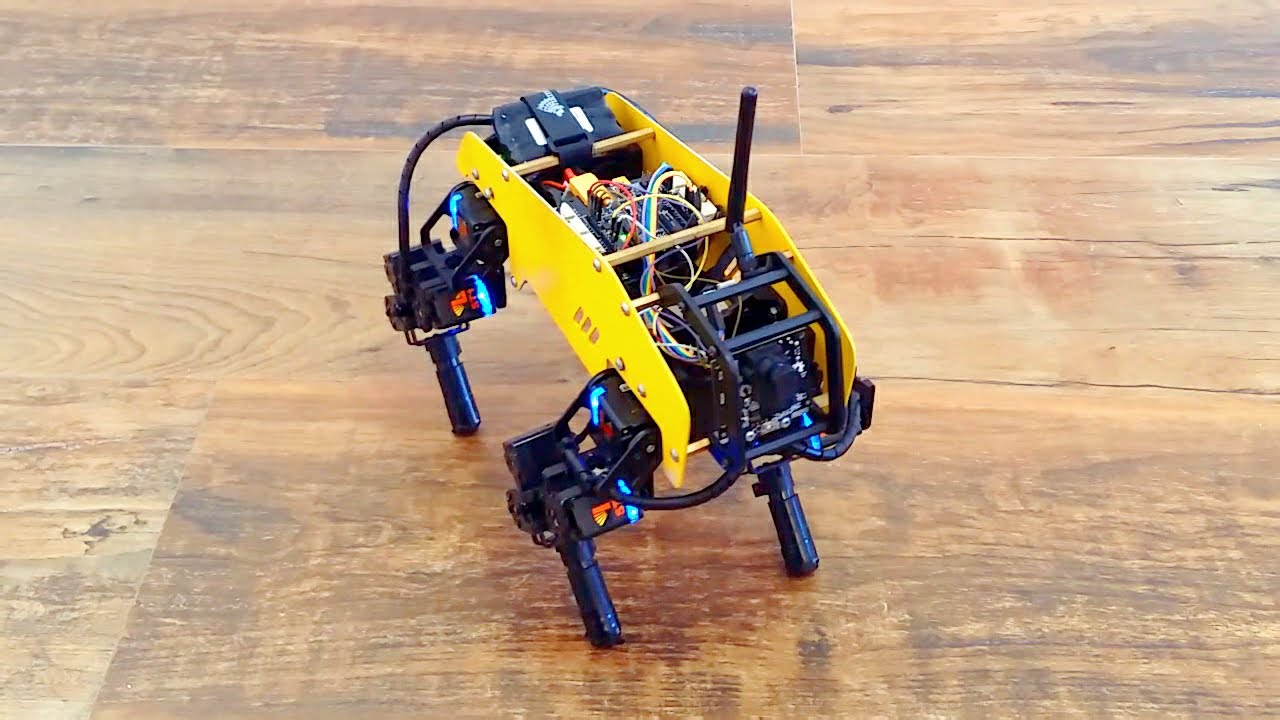 RoboDog